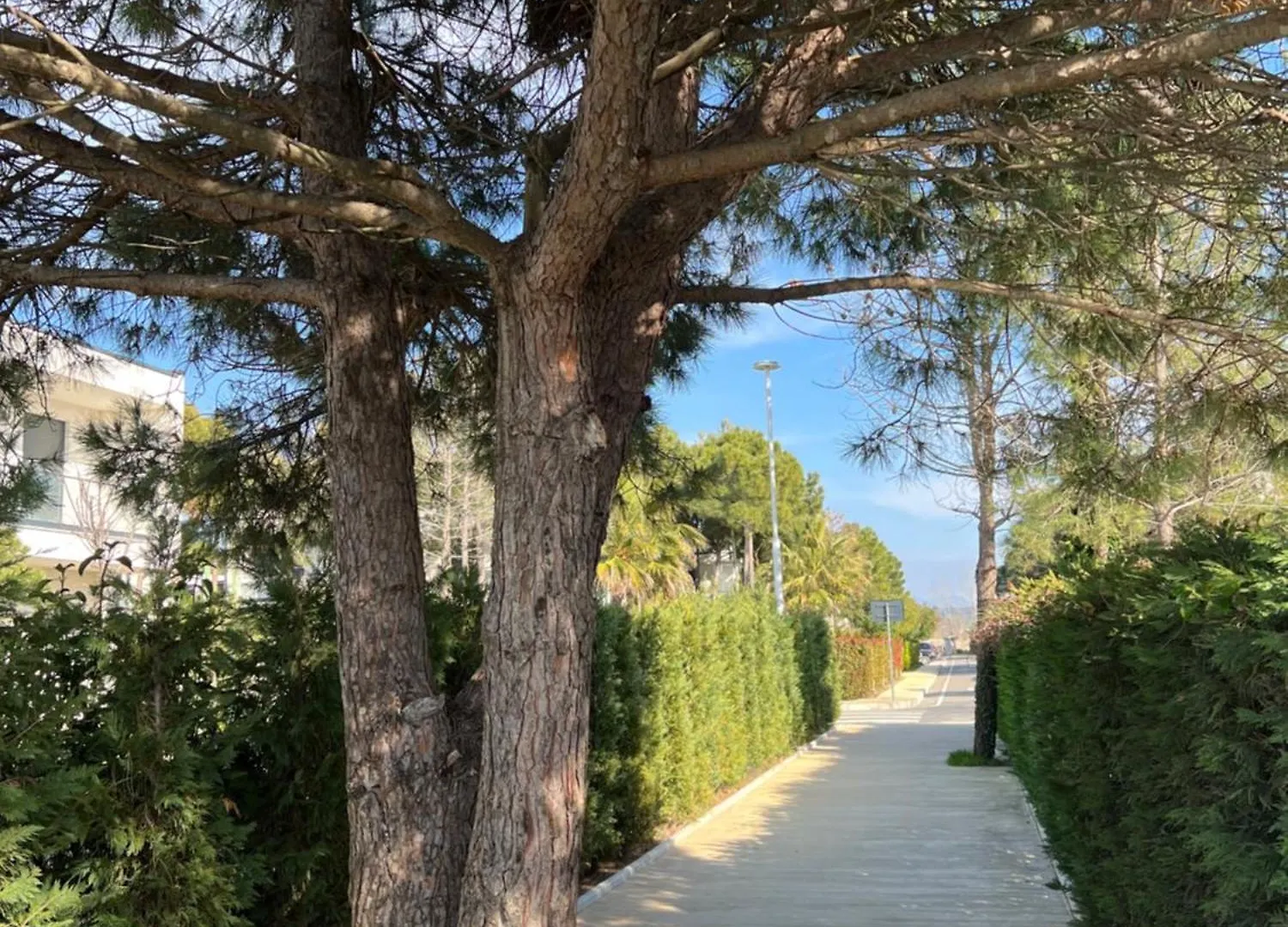 Residence Lux Apartments At Valamar Hamallaj Gjiri Lalzit Durres 0*,  Albania